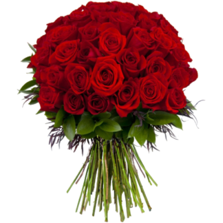 51 red roses | Flower Delivery Miass