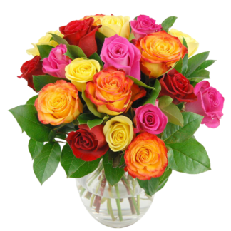 25 colorful roses | Flower Delivery Miass